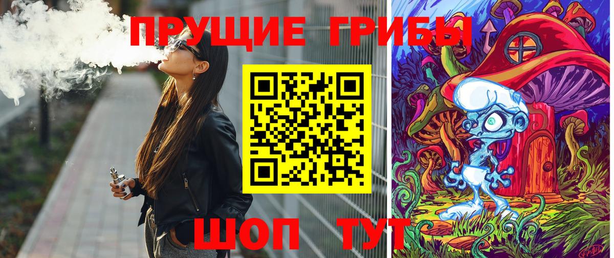 Галлюциногенные грибы Psilocybine cubensis Краснознаменск